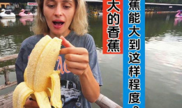 大香蕉国产视频,揭秘国内影视产业的魅力与挑战